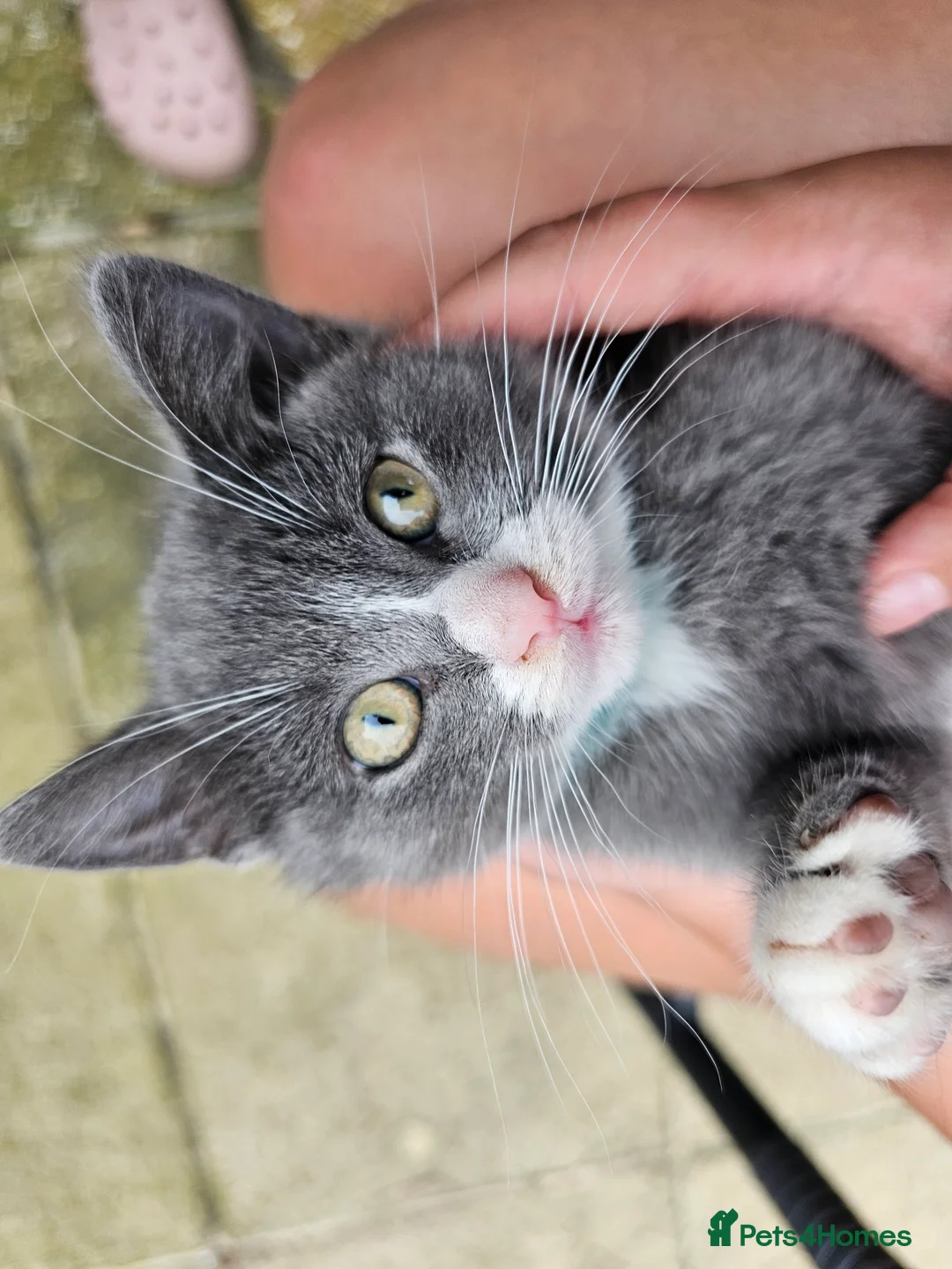 Gallery Image {{count}}