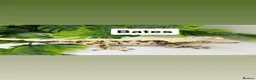 Gecko reptiles for sale: Updated Mixed crested geckos  - Advert 1