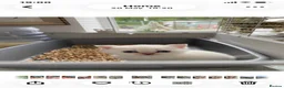 British Shorthair cats for sale: Gccf Registered kittens  - Advert 3