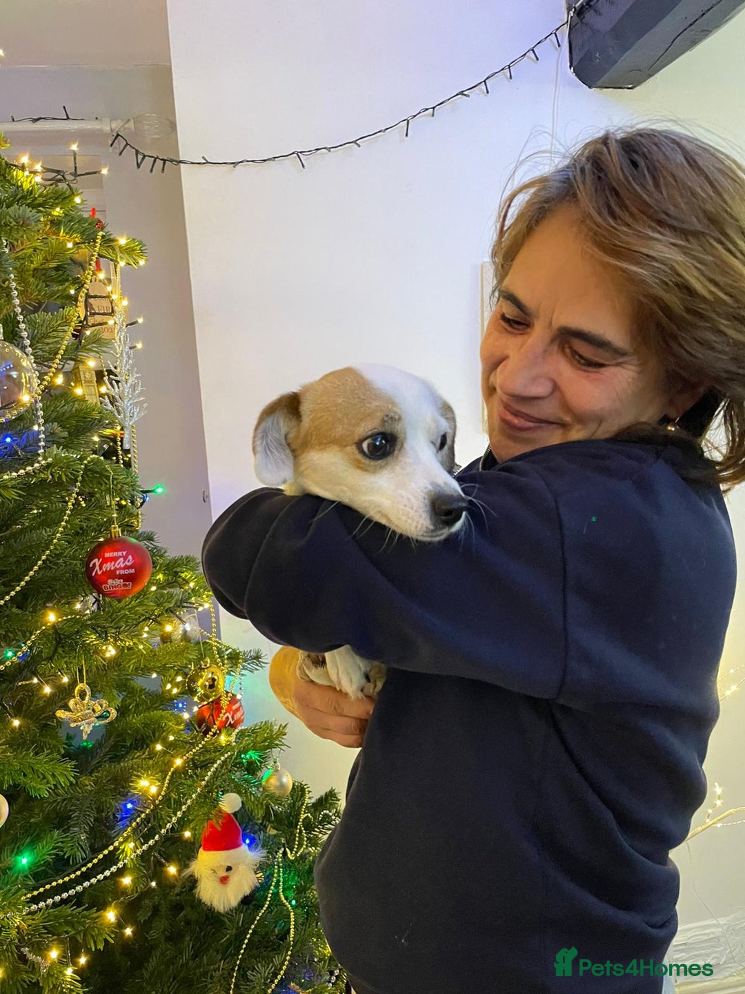 Mixed Breed dogs for adoption: RONNA - a beautiful tiny girl, for a Loving Home - Advert 8