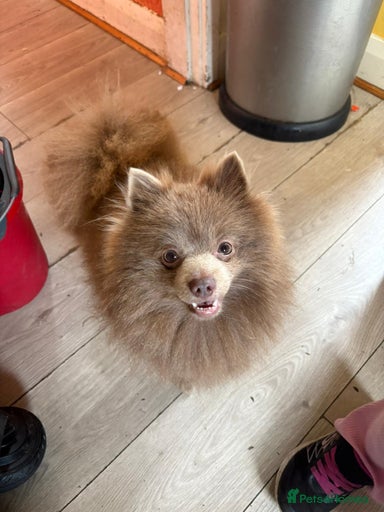 Gallery Image {{count}}