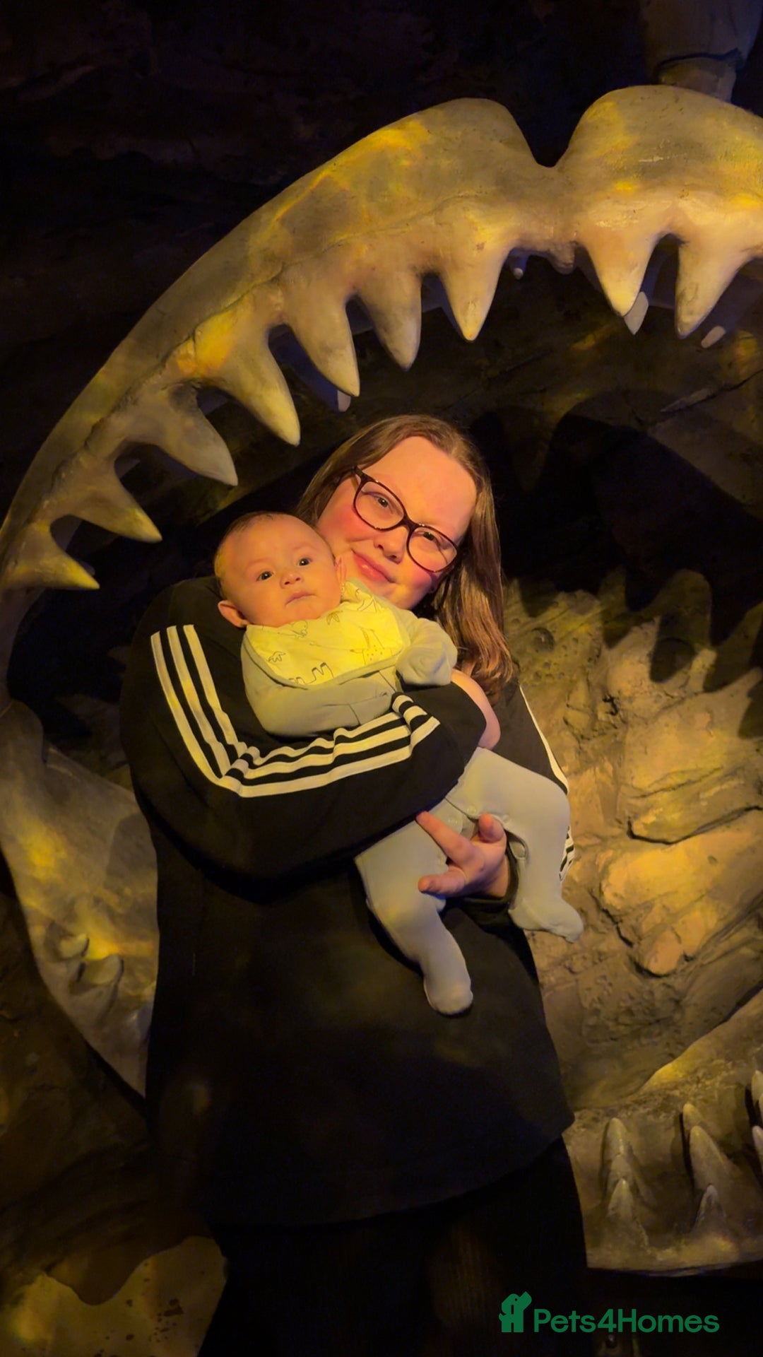 Gallery Image {{count}}