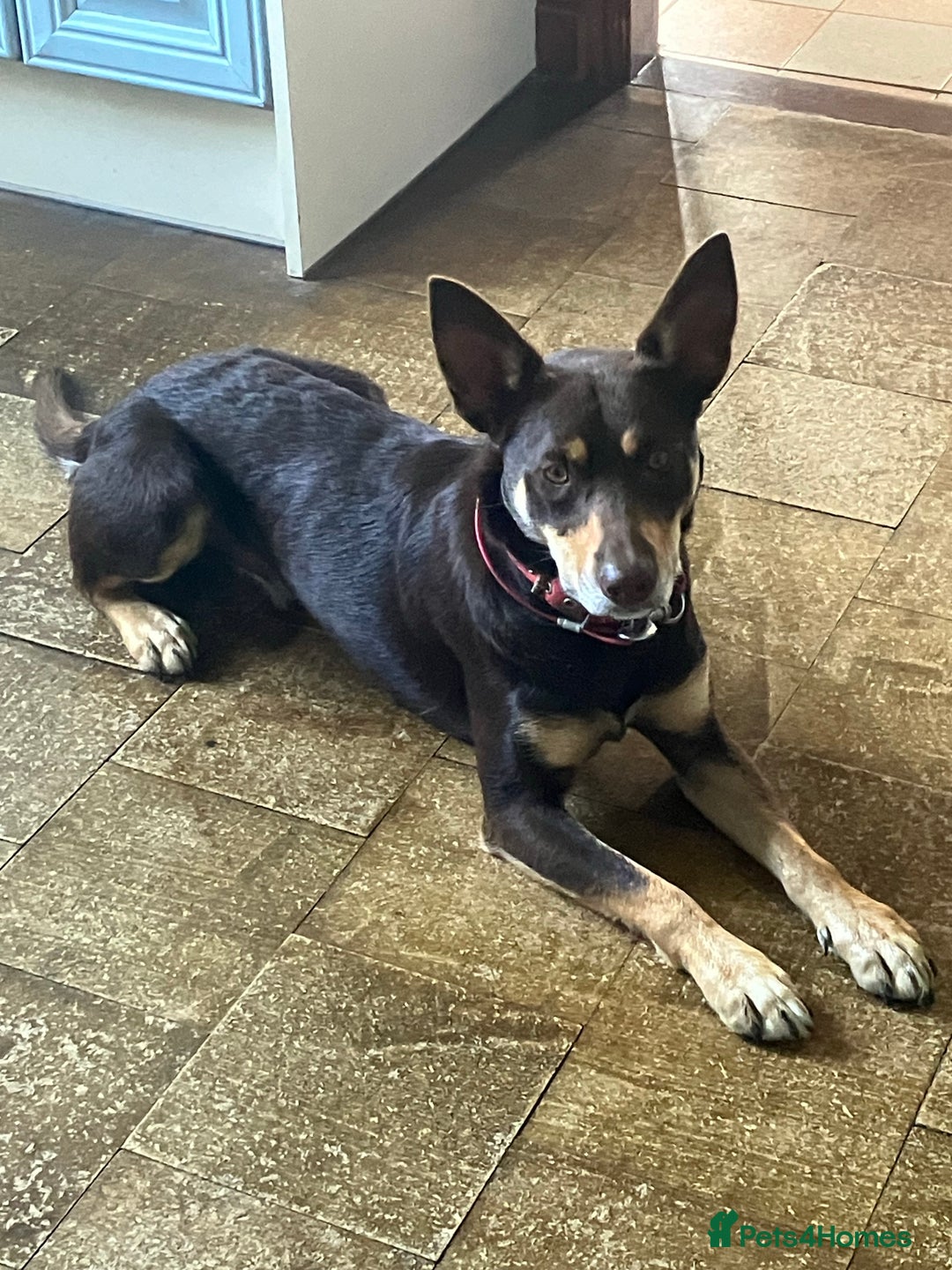 Gallery Image {{count}}