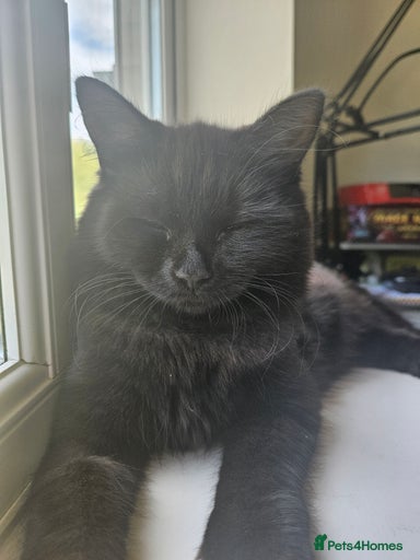 Gallery Image {{count}}