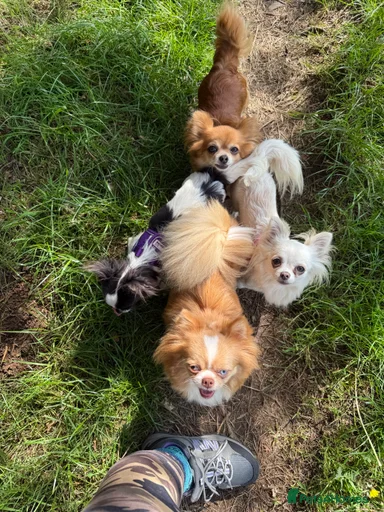 Gallery Image {{count}}