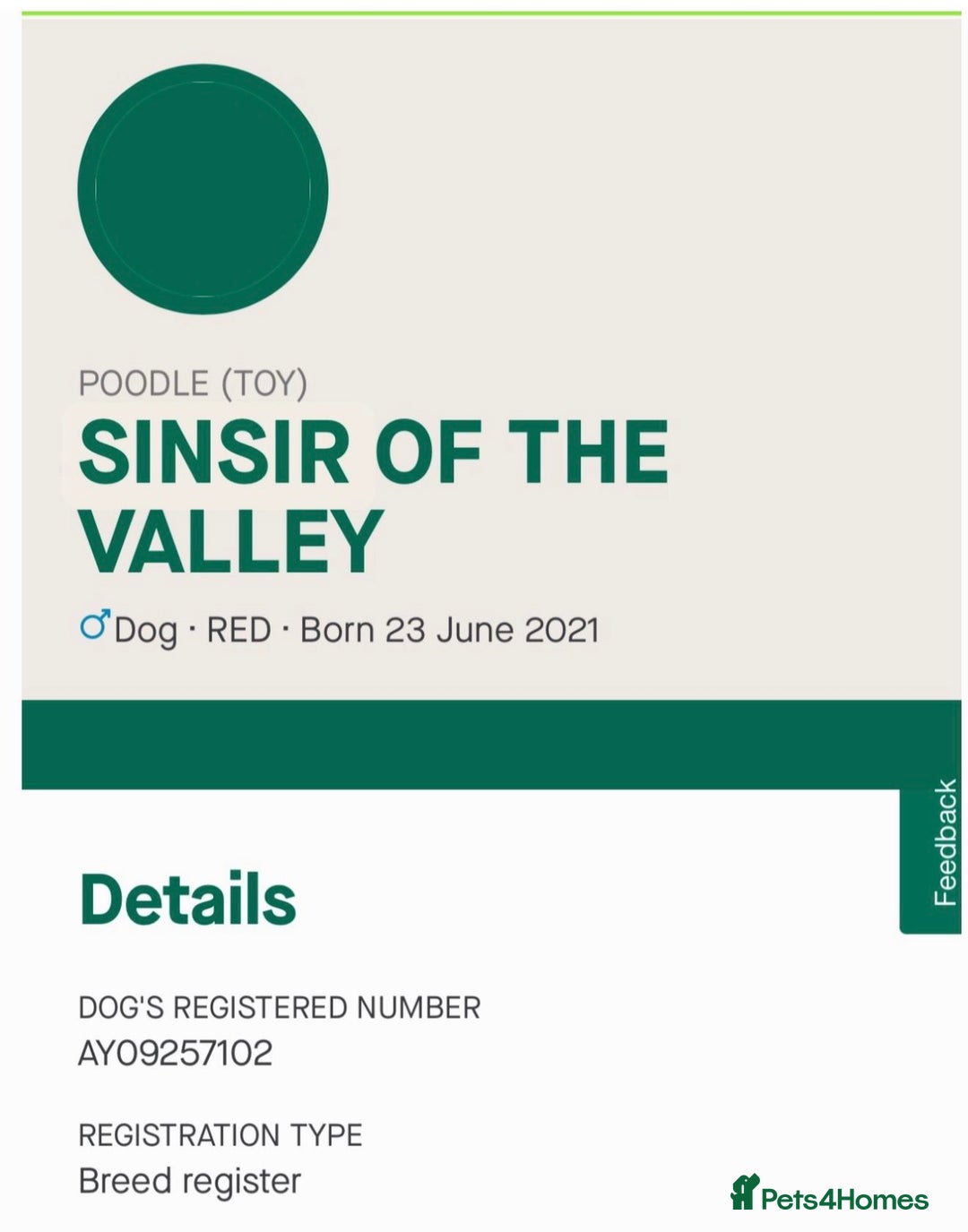 Cockapoo dogs for sale: 8 beautiful f1 cockerpoo - Advert 11