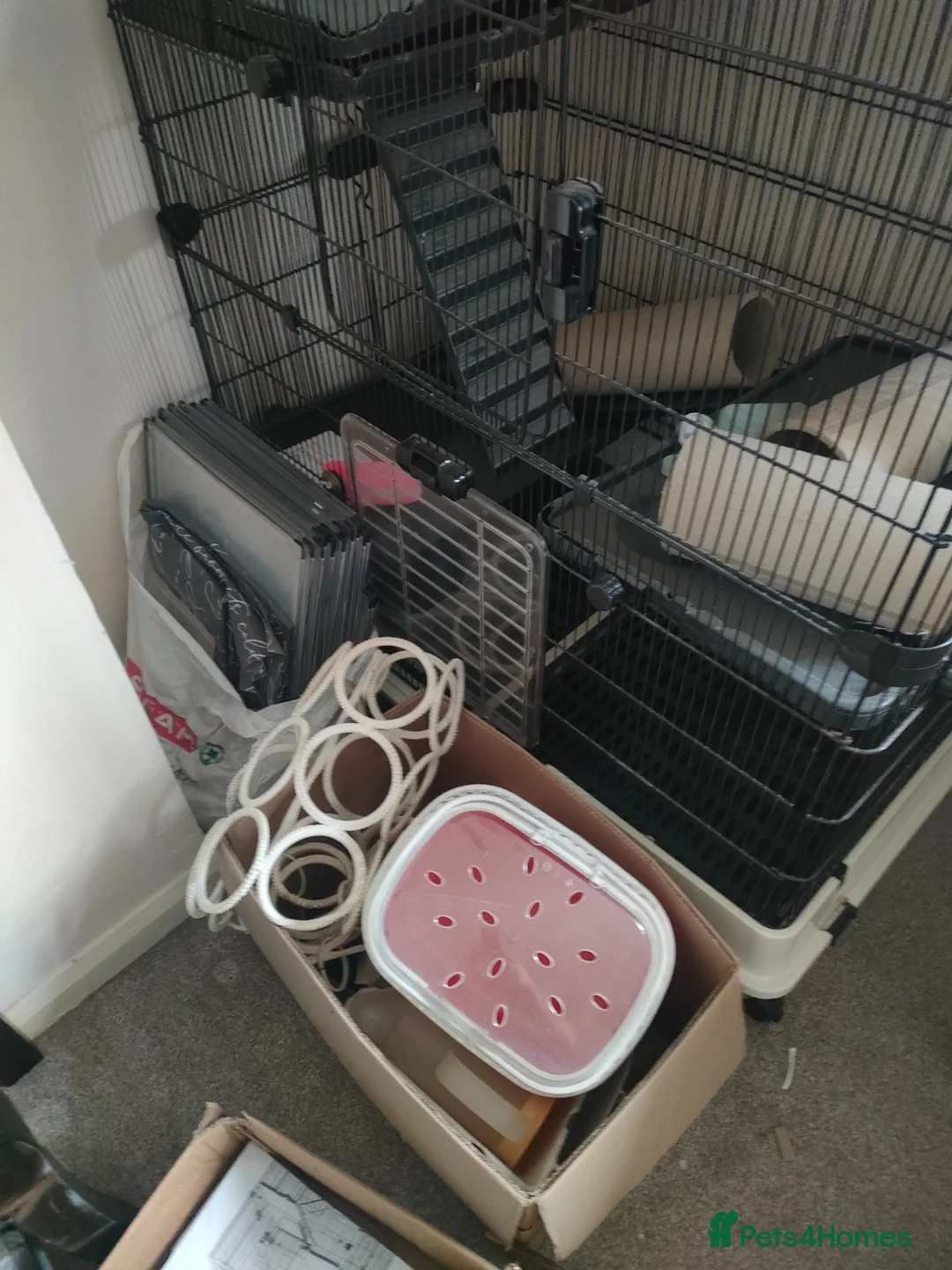 Rat rodents for sale: Huge rat cage for sale  - Advert 2