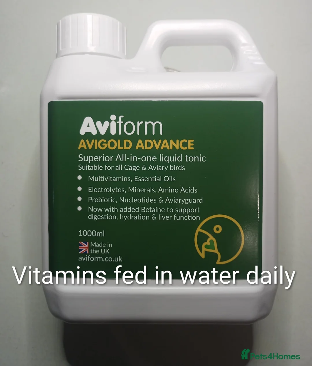 Budgerigars birds for sale: Superb home bred beautifully coloured baby budgies - Advert 11