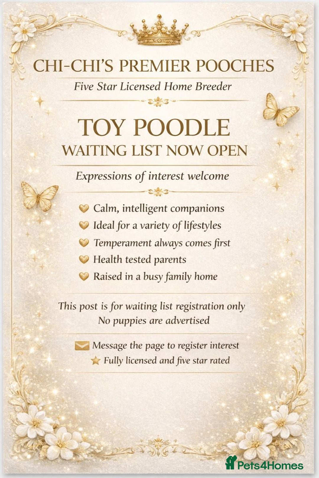 Toy Poodle dogs for sale: Toy poodle WAITING LIST - Advert 1