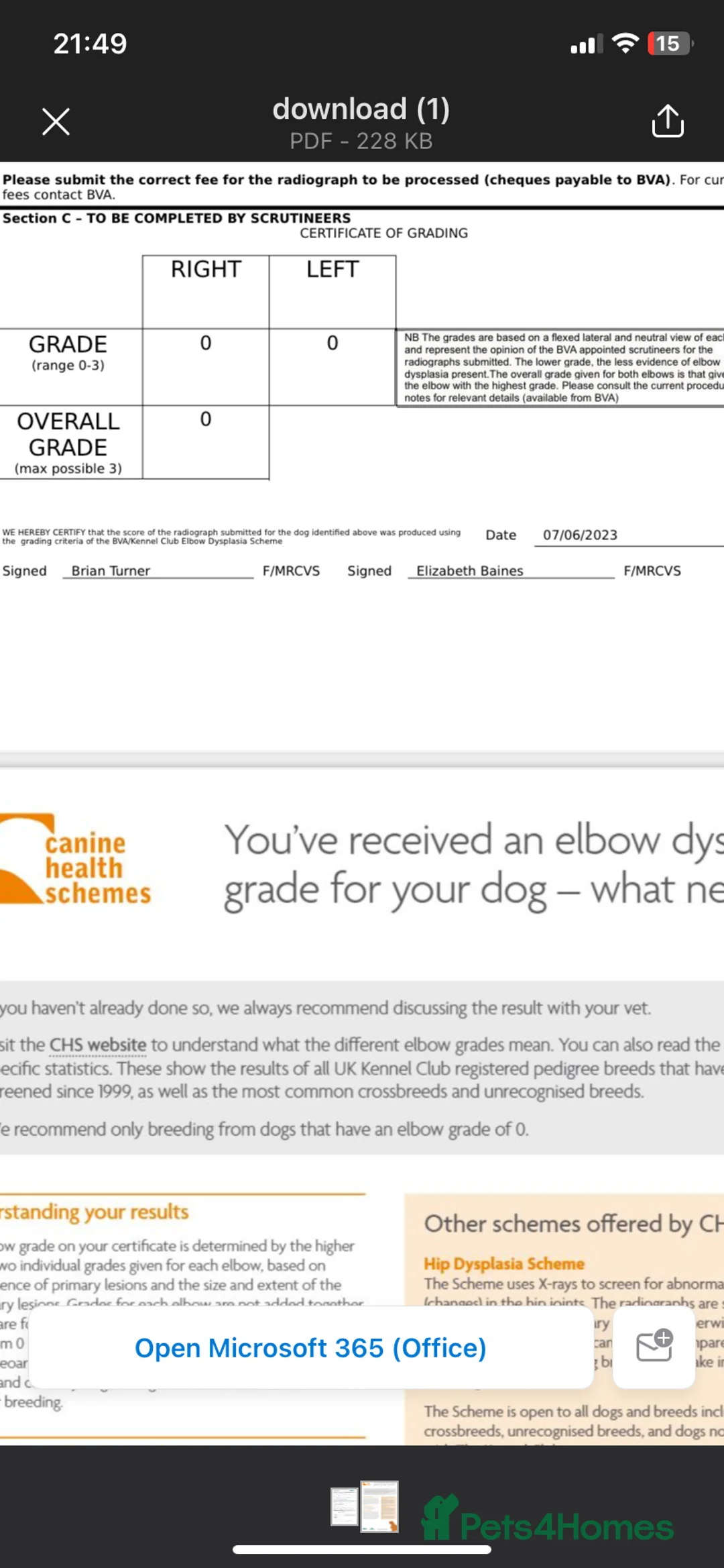 Labrador Retriever dogs for stud: KC registered, health checked, proven stud dog! in Radstock - Advert 10