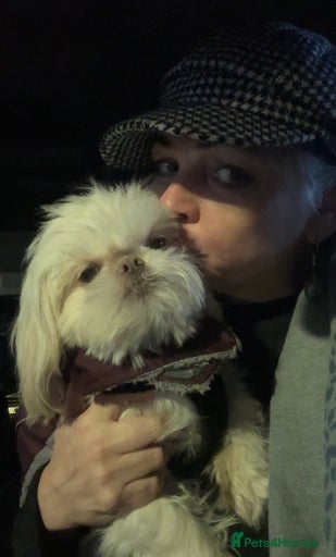 Gallery Image {{count}}