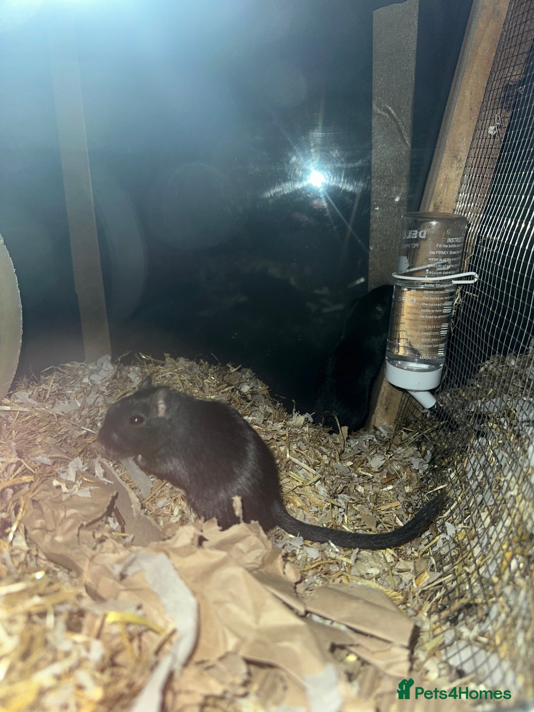 Gallery Image {{count}}