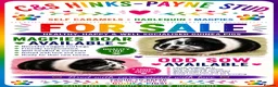 Guinea Pig rodents for sale: Magpie boars - Advert 1