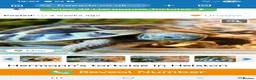 Hermann Tortoise reptiles for sale: Hermann tortoise  - Advert 1