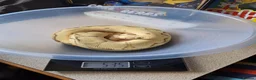 Python Snake reptiles for sale: Royal Python collection in Blackburn - Advert 12