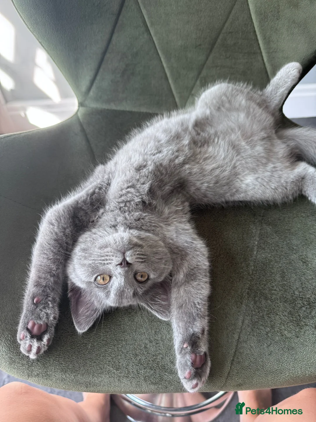 Gallery Image {{count}}