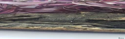 Snake reptiles for sale: Baby western hognoses from £200  - Advert 1
