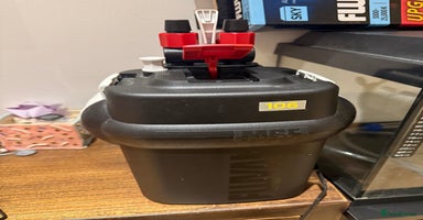 Turtle reptiles Turtles with Juwel Aquarium Full Setup - Advert 15