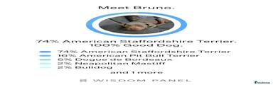 Bruno 