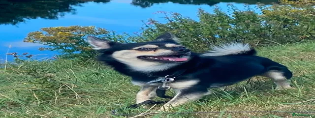 Billy