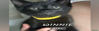 Winnie 