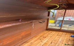 Budgerigars birds for sale: Budgies with an Aviary available. - Image 9