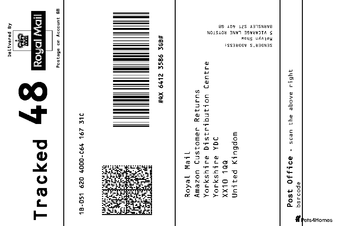 Boxer dogs for stud: Boxer stud - Advert 1