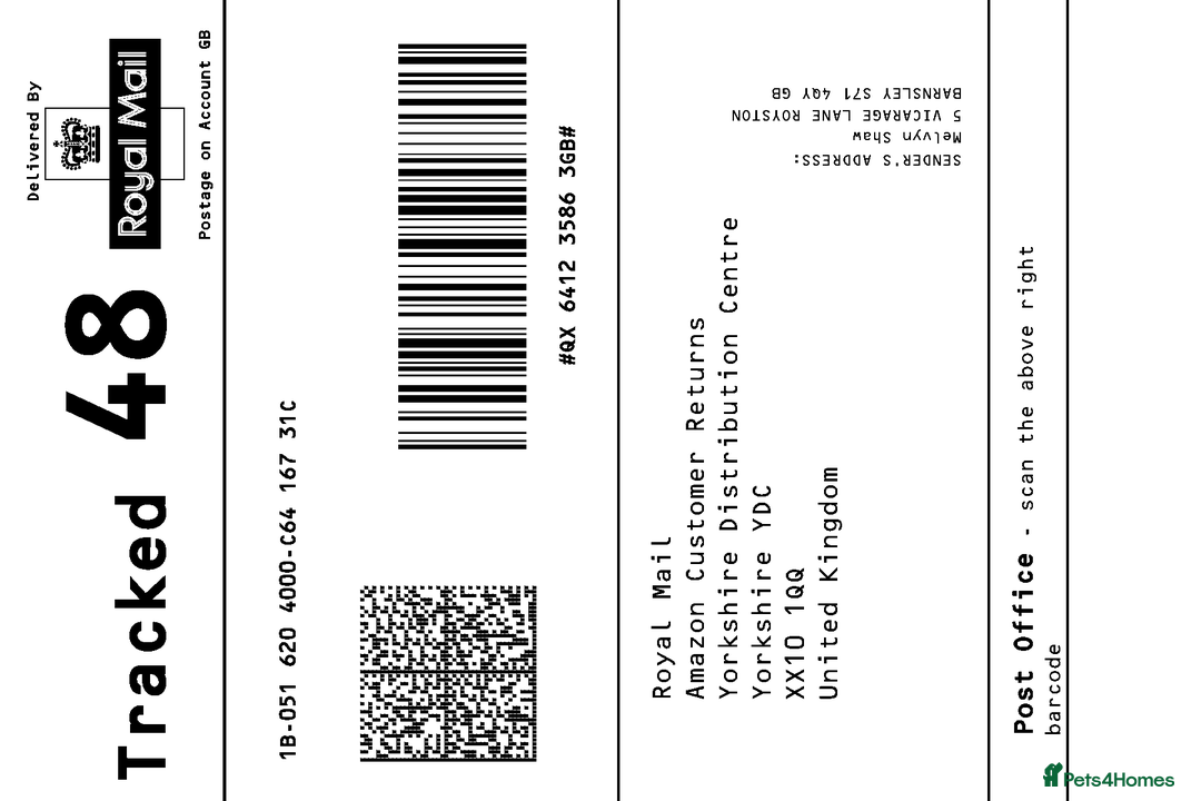 Boxer dogs for stud: Boxer stud - Advert 1