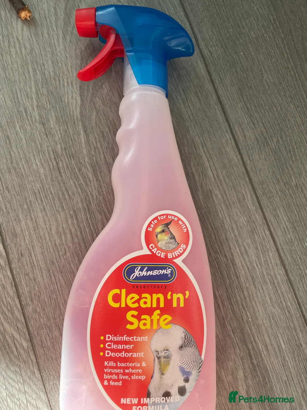 Canaries birds for sale: Canaries as a pair for sale - Advert 13