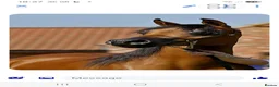 Arabian horse horses for sale: PRYCILLA - Advert 4