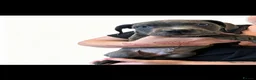 Cane Corso dogs for sale: 10 stunning purebred cane corso puppies  - Advert 8