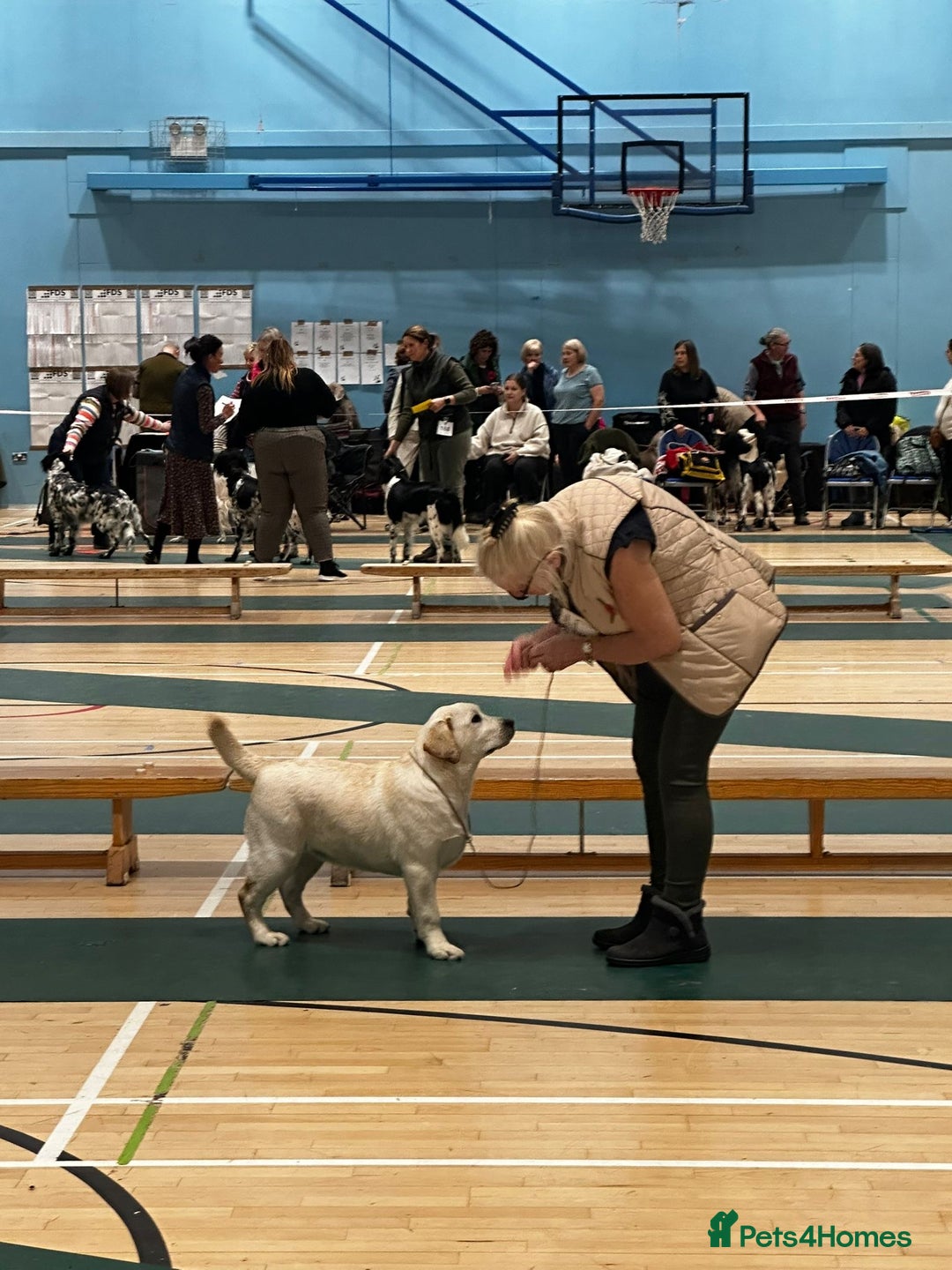 Gallery Image {{count}}