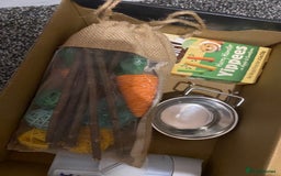 Hamster rodents for sale: 2 male gerbils - Image 8