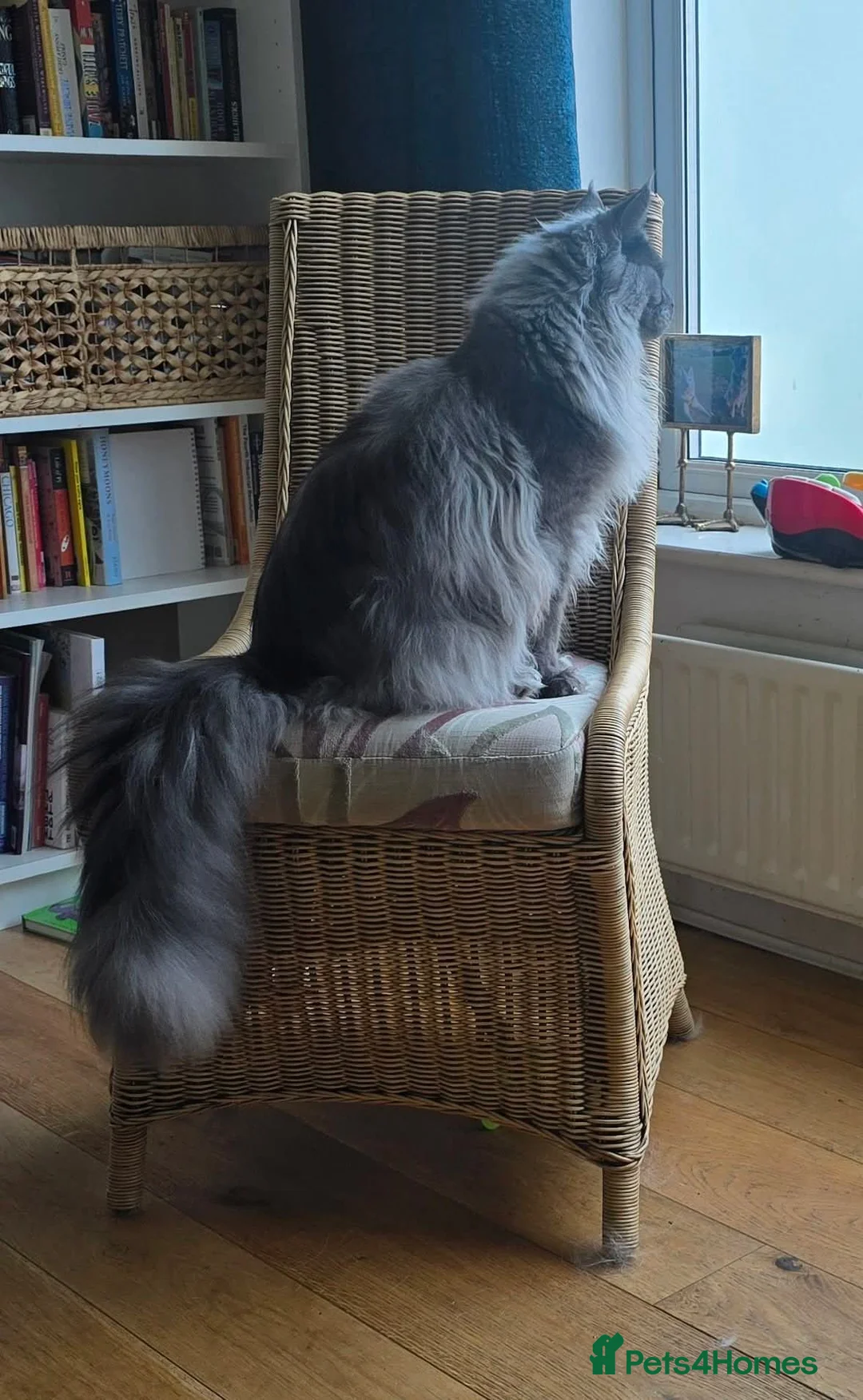 Gallery Image {{count}}