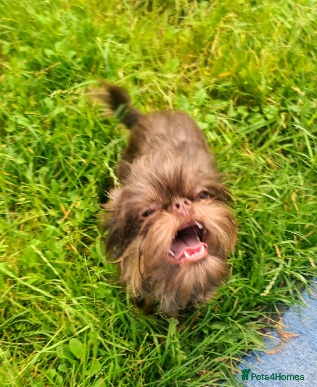 Gallery Image {{count}}