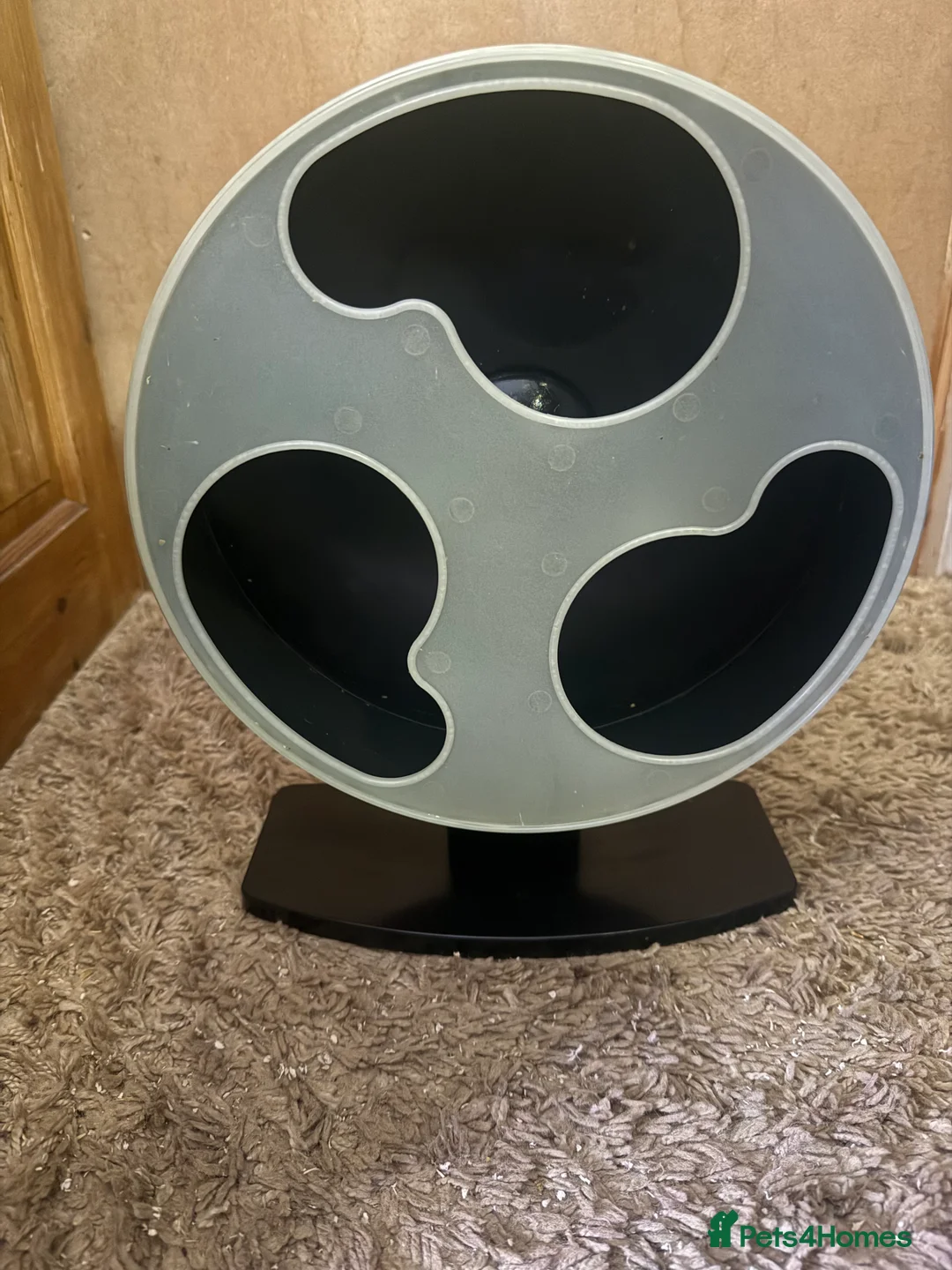 Sugar Glider rodents for sale: 3 female sugar gliders and set up - Advert 34