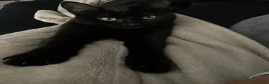 Jinx