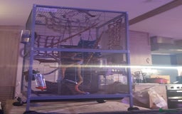 Sugar Glider rodents for sale: 3 sugar gliders and full set up - Advert 11