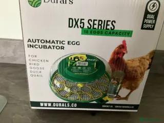 Mixed Breed poultry Incubator fully automatic in Haverfordwest - Advert 1