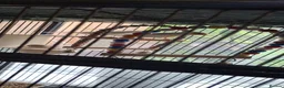 Canaries birds for sale: 2 Canaries yellow mosaic  in Walsall - Advert 2