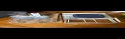 Hamster rodents for sale: Hamster and full set up for sale  - Advert 7