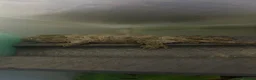 Gecko reptiles for sale: 6x leachianus geckos - Advert 2