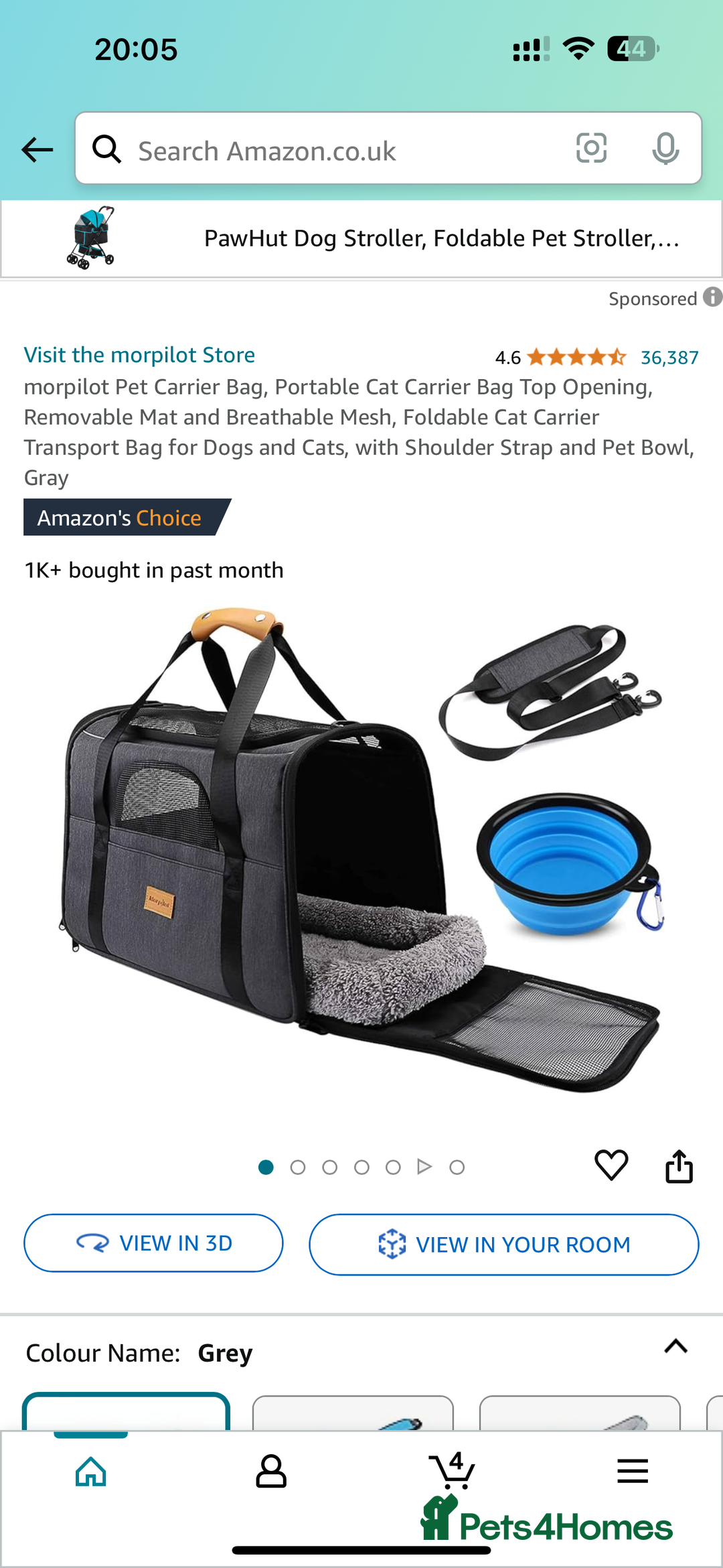 Ragdoll cats for sale: Beautiful Male Pure Full Breed Ragdoll Cat - Advert 11