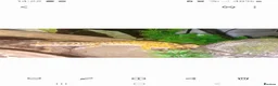 Leopard Gecko reptiles for sale: 2 leopard geckos & vivarium  - Advert 2