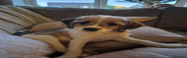 Winnie