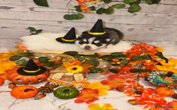 Pomsky dogs for sale: Lilac sired F2 masked Pomsky blue eyes  - Image 3