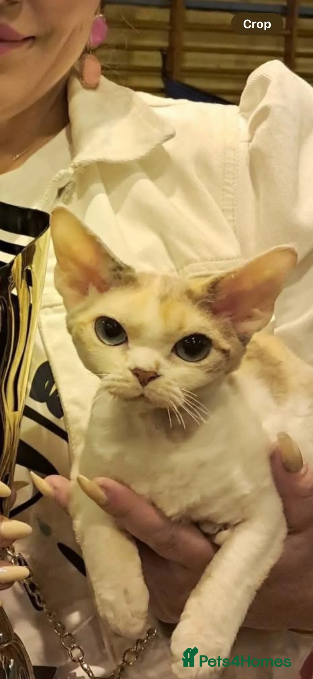 Gallery Image {{count}}