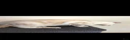 Bengal cats for sale: Outstanding Tica Show quality Snow Lynx bengal - Advert 2