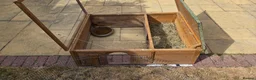 Hermann Tortoise reptiles for sale: Established Pair of Hermanns Tortoises Ruby&George in Derby - Advert 7