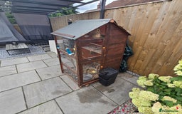 Mixed Breed birds for sale: BIRD AVIARY INCLUDING ALL BIRDS  - Image 1
